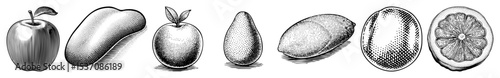 Vector Varied depictions of a citrus fruit showcase its form and interior.
