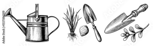 Vector Vintage gardening tools and plants set.