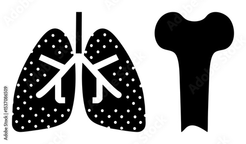 Vector Anatomical lungs and bone in monochrome style.