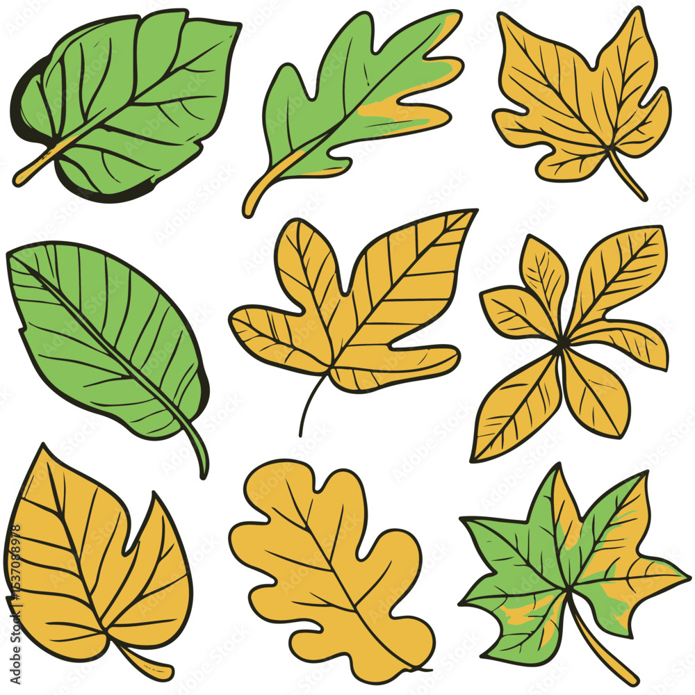 Fototapeta premium Set of spring leaves, Vector illustration