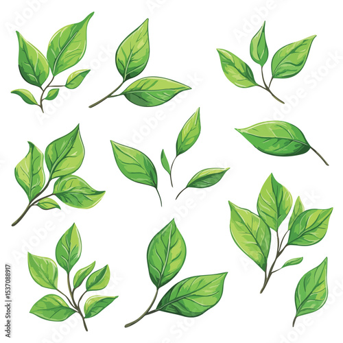 Set of spring leaves, Vector illustration