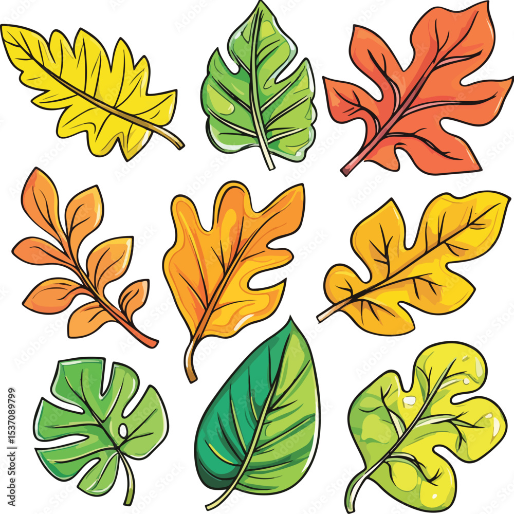 Fototapeta premium Set of spring leaves, Vector illustration