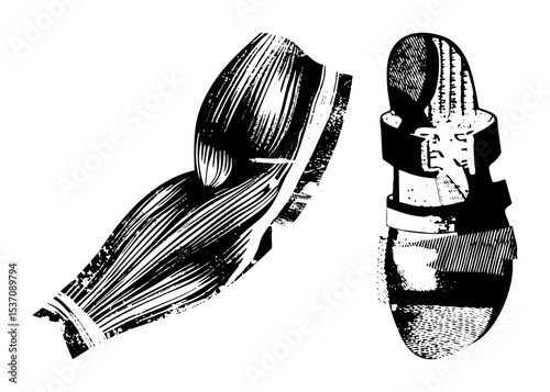 Vector Vintage footwear depicts classic dress shoes and laces.