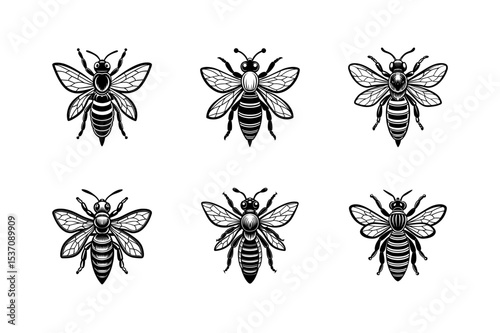 honey bee vector art silhouette