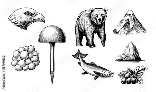 Vector Detailed illustrations of wildlife fungi and mountainous landscapes are presented in a vintage engraving style.