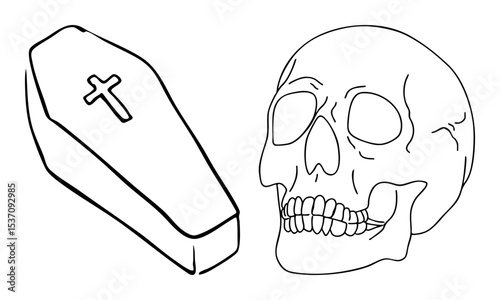 Vector Skull and Coffin