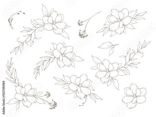 Set of Elegant floral line art bouquet composition. Hand drawn minimalist flowers and leaves in delicate style for prints, wall art, wedding invitations, greeting cards. Vector delicate illustration