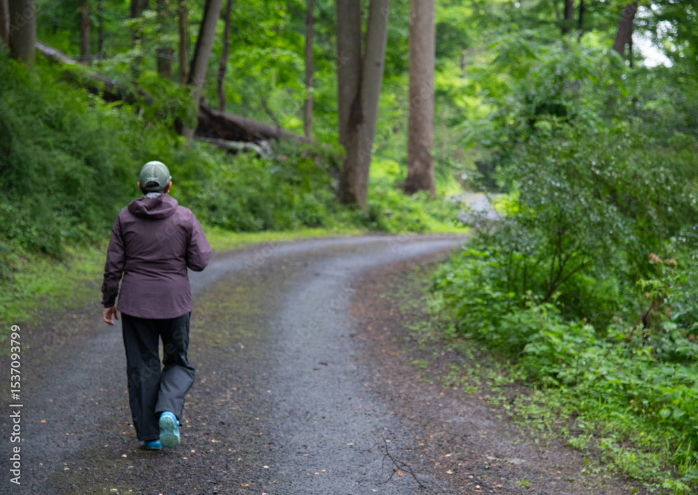 Obraz premium A woman walking alone on a forest road enjoying the serenity and solitude of being in nature