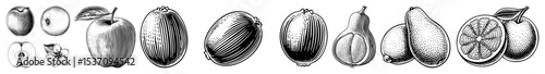 Vector Detailed vector illustrations of various fruits including apples and citrus.