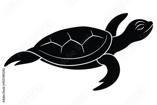 vector illustration of turtle