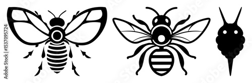 Vector Stylized bee illustrations showcase insect anatomy and elements.