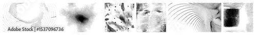 Vector Abstract flowing lines create dynamic typographic letterforms.