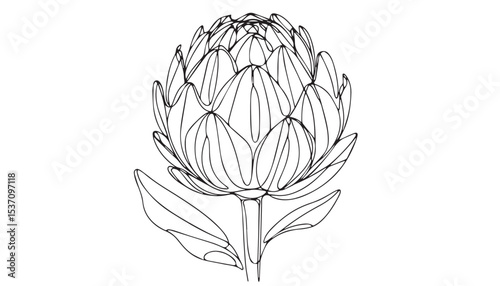 Continuous one single minimal line drawing Artichoke