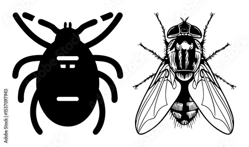 Vector Detailed insect illustrations showcase a stylized fly and a simplified bee .