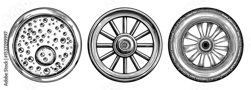 Vector Vintage vehicle wheels set with detailed spokes and rims.