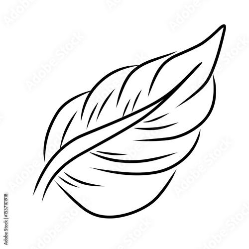 Leaf line art sketch,minimalist leaf illustration,leaf icon