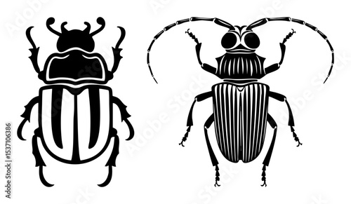 Vector Detailed beetle illustrations showcase insect anatomy and vector .