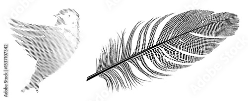 Vector Detailed owl and feather in dotted style.
