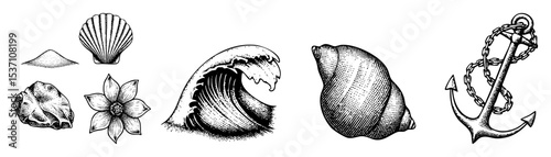Vector Vintage nautical elements including shells wave and anchor .