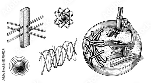 Vector Scientific illustrations depict atoms DNA and microbiology with a microscope.