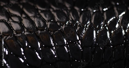 black leather imitating crocodile leather for making objects, black polished leather dyed black with embossed crocodile leather