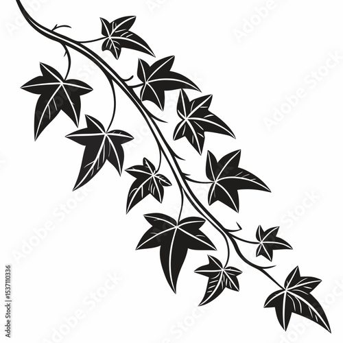 Black and white ivy branch illustration