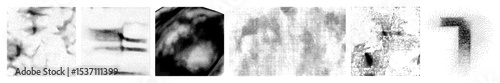 Vector Diverse portraits rendered as detailed dotted vector illustrations.
