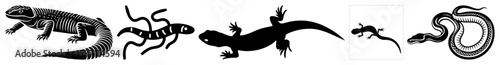Vector Stylized reptile and serpent vector illustrations showcase diverse animal forms.