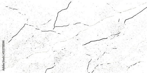 "Grunge black cracks on white distressed surface, perfect for abstract backgrounds, overlays, and creating aged or damaged effects"