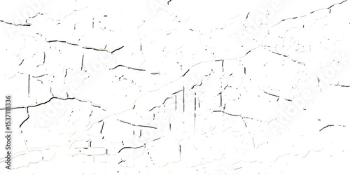 "Grunge black cracks on white distressed surface, perfect for abstract backgrounds, overlays, and creating aged or damaged effects"