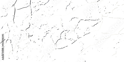 "Grunge black cracks on white distressed surface, perfect for abstract backgrounds, overlays, and creating aged or damaged effects"