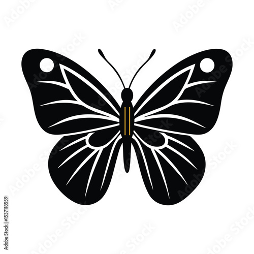 butterfly vector illustration