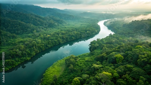 Aerial view of serene river winding through lush rainforest