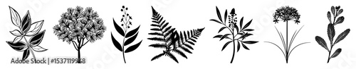 Vector Botanical illustrations of diverse foliage and flowering plants in a monochrome style.