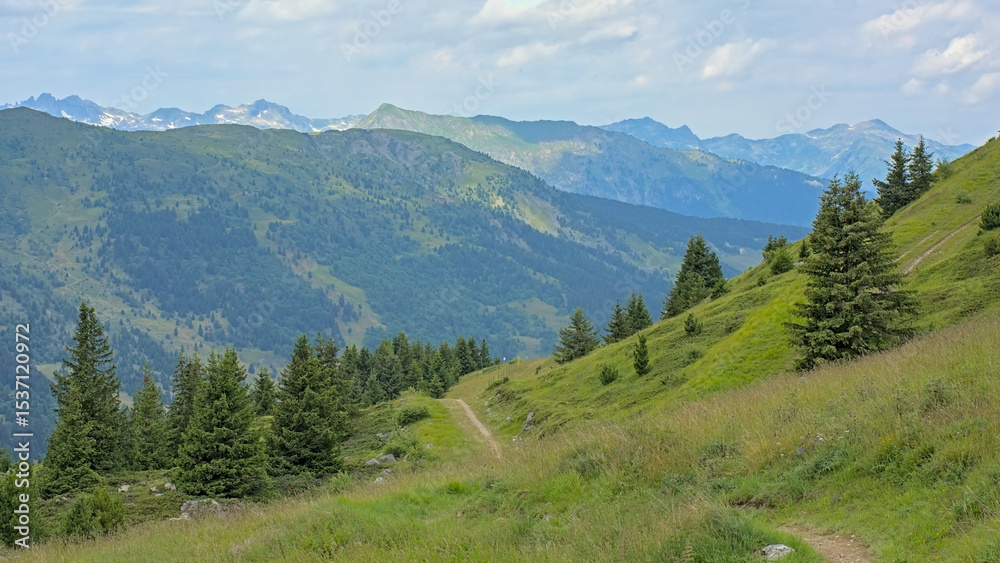 Naklejka premium Hiking trail though a green mountain landscape with forest under a cloudy sky in La Vanoise nature reserve, Savoie, France 
