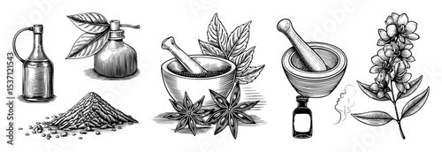 Vector Botanical featuring spice ingredients mortar and pestle and essential oil bottles.