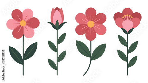 set of pink flowers.