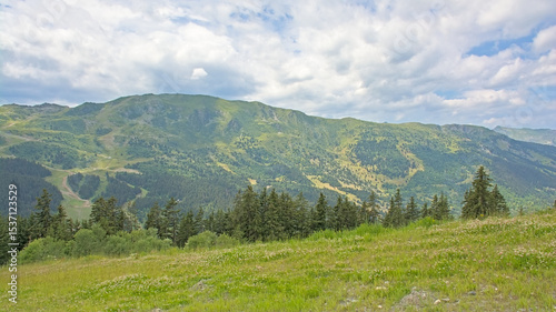 Green mountain landscape with forest under a cloudy sky in La Vanoise nature reserve, Savoie, France 
