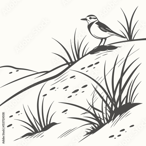 Bird on dune grassland monochrome illustration