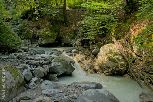 Mountain stream in the woods in La Vanoise national park, France
