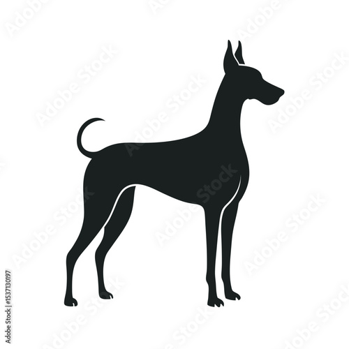 Great Dane In Alert Dog Silhouette Vector