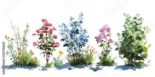 bush of flowers on white background. Bush tree flower of bougainvillea on isolated transparent background	
