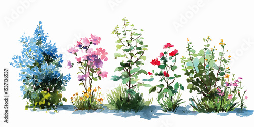 bush of flowers on white background. Bush tree flower of bougainvillea on isolated transparent background	