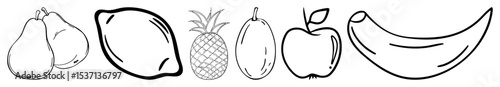 Vector Collection of vibrant fruit illustrations in a linear style.