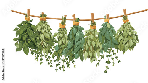 A digital illustration depicting six bundles of various green herbs hanging from a rustic wooden clothesline against a plain white background.  The herbs are tied with yellow twine and appear to be