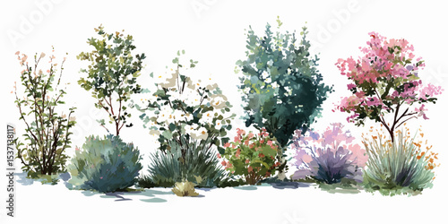 Set of Kolkwitzia amabilis (commonly known as beauty bush) blossoming frontal street isolated png on a transparent background.  A set of different types and sizes of bushes with flowers, greenery