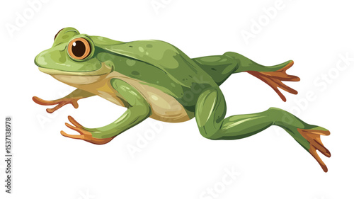 Digital illustration of a green tree frog on a white background. The frog is depicted in a side profile, showcasing its characteristic features including large, round eyes, smooth skin