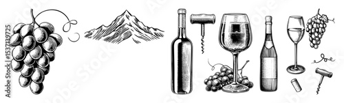 Vector Vintage wine elements including grapes bottles glasses and mountains .
