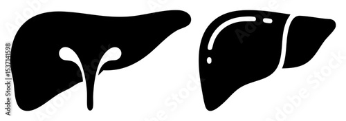 Vector Anatomical of liver and gallbladder black vector .
