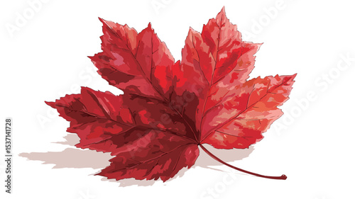 A digital illustration of a single red maple leaf isolated on a white background. The leaf is depicted in detail, showing variations in shades of red and orange. The leaf is presented with a slight